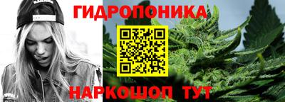 гашик Ирбит