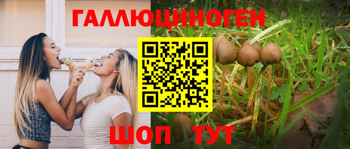 Псилоцибиновые грибы мухоморы Медногорск