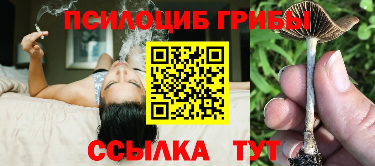 Галлюциногенные грибы прущие грибы  Галлюциногенные грибы мухоморы  Медногорск  Вход с VPN 