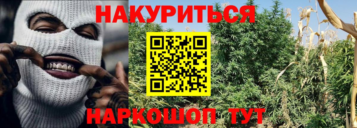 Конопля SATIVA & INDICA Медногорск